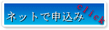 �l�b�g�Ő\����
