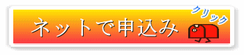 �l�b�g�Ő\����