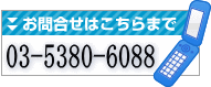 �A�N�A�⍇���F03-5380-6088